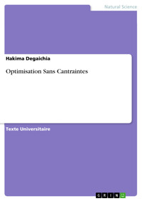 Optimisation Sans Cantraintes - Hakima Degaichia - E-Book