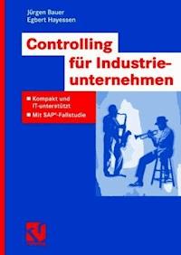 Controlling für Industrieunternehmen - Jürgen Bauer - E-Book