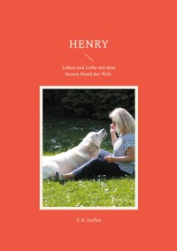 Henry - T. R. Steffen - E-Book