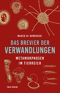 Das Brevier der Verwandlungen - Marco Di Domenico - E-Book