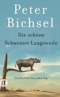 Die schöne Schwester Langeweile - Peter Bichsel - E-Book