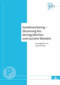 Sozialmonitoring - Steuerung des demografischen Wandels - - E-Book