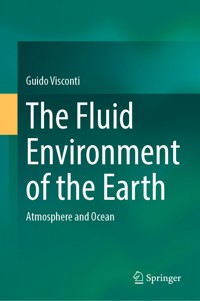 The Fluid Environment of the Earth - Guido Visconti - E-Book