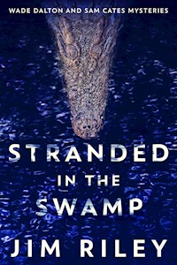 Stranded In The Swamp - Jim Riley - E-Book