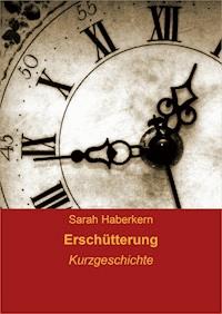Erschütterung - Sarah Haberkern - E-Book