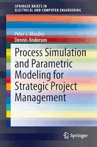 Process Simulation and Parametric Modeling for Strategic Project Management - Peter J. Morales - E-Book