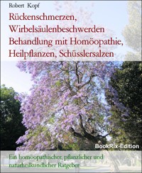 Rückenschmerzen, Wirbelsäulenbeschwerden Behandlung mit Homöopathie, Heilpflanzen, Schüsslersalzen - Robert Kopf - E-Book