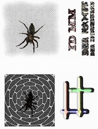 DER KAMPF DER SPINNENFRAU - Maik Mueller - E-Book