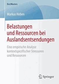Belastungen und Ressourcen bei Auslandsentsendungen - Markus Hoben - E-Book