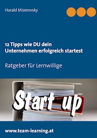 12 Tipps wie DU dein Unternehmen erfolgreich startest - Harald Mizerovsky - E-Book