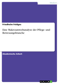 Eine Makroumweltanalyse der Pflege- und Betreuungsbranche - Friedhelm Feldges - E-Book