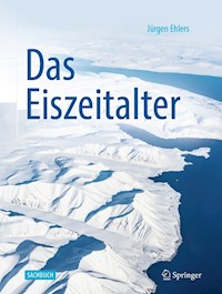 Das Eiszeitalter - Juergen Ehlers - E-Book