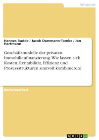 Geschäftsmodelle der privaten Immobilienfinanzierung. Wie lassen sich Kosten, Rentabilität, Effizienz und Prozessstrukturen sinnvoll kombinieren? - Hannes Budde - E-Book