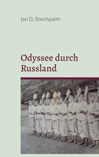 Odyssee durch Russland - Jan D. Stechpalm - E-Book