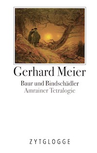 Werke Band 3: Baur und Bindschädler - Gerhard Meier - E-Book