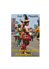 Dich erwartet jetzt die Ewigkeit - Karl Plepelits - E-Book
