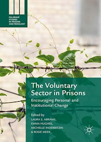 The Voluntary Sector in Prisons - - E-Book
