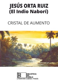 Cristal de aumento - Jesús Orta Ruiz - E-Book