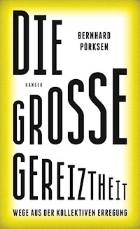 Die große Gereiztheit - Bernhard Pörksen - E-Book