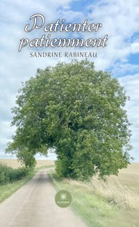 Patienter patiemment - Sandrine Rabineau - E-Book