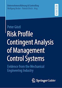 Risk Profile Contingent Analysis of Management Control Systems - Peter Göstl - E-Book