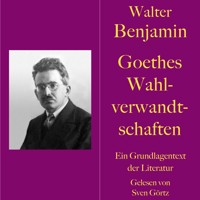 Walter Benjamin: Goethes Wahlverwandtschaften - Walter Benjamin - Hörbuch