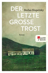 Der letzte große Trost - Stefan Slupetzky - E-Book