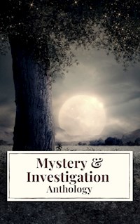 Mystery & Investigation Anthology - Ryūnosuke Akutagawa - E-Book