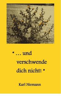 "... und verschwende dich nicht!" - Karl Niemann - E-Book