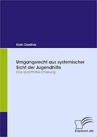 Umgangsrecht aus systemischer Sicht der Jugendhilfe - Karin Gerstner - E-Book