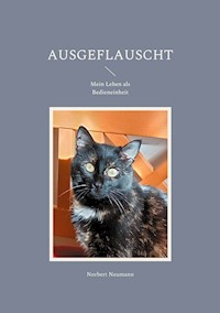 Ausgeflauscht - Norbert Neumann - E-Book