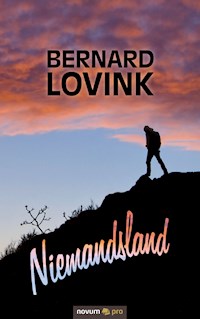 Niemandsland - Bernard Lovink - E-Book