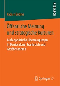 Öffentliche Meinung und strategische Kulturen - Fabian Endres - E-Book