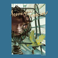 Homespun Mercies - DJ Hill - Hörbuch