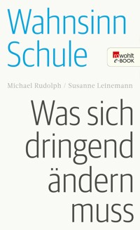 Wahnsinn Schule - Michael Rudolph - E-Book