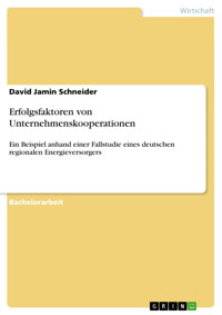 Erfolgsfaktoren von Unternehmenskooperationen - David Jamin Schneider - E-Book