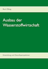 Ausbau der Wasserstoffwirtschaft - Kurt Olzog - E-Book