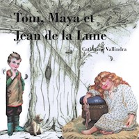 Tom, Maya et Jean de la Lune - Catherine Vallindra - E-Book