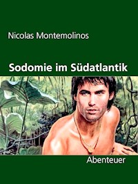 Sodomie im Südatlantik - Nicolas Montemolinos - E-Book