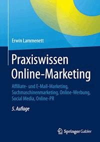 Praxiswissen Online-Marketing - Erwin Lammenett - E-Book
