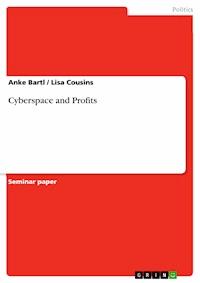 Cyberspace and Profits - Anke Bartl - E-Book