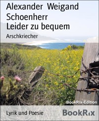 Leider zu bequem - Alexander Weigand Schoenherr - E-Book