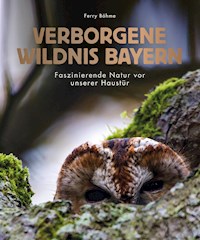 Verborgene Wildnis Bayern - Ferry Böhme - E-Book