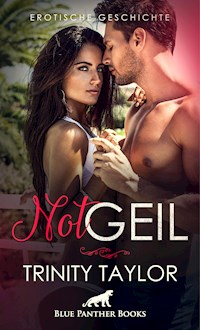 NotGeil | Erotische Geschichte - Trinity Taylor - E-Book