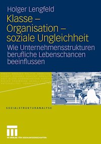 Klasse - Organisation - soziale Ungleichheit - Holger Lengfeld - E-Book