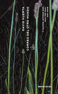 Correo del otro mundo (y algunas lecturas más) - David Huerta - E-Book
