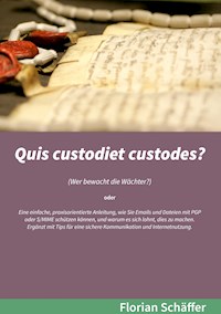 Quis custodiet custodes? - Florian Schaffer - E-Book