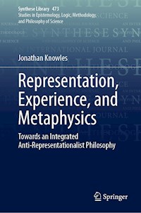 Representation, Experience, and Metaphysics - Jonathan Knowles - E-Book