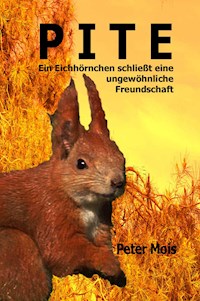 P I T E - Peter Mois - E-Book
