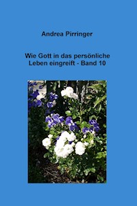 Wie Gott in das persönliche Leben eingreift - Band 10 - Andrea Pirringer - E-Book